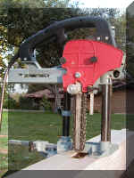 P7280010.JPG (137683 bytes)