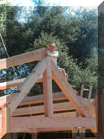 P8290096.JPG (157219 bytes)